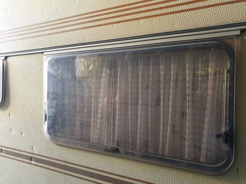 Fendt 495 A- Photo 8