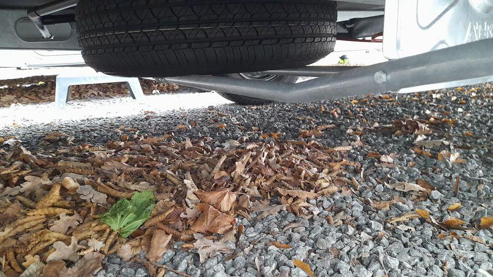 Bürstner Premio Life 480 TL IC-LINE Sondermodell- Photo 12