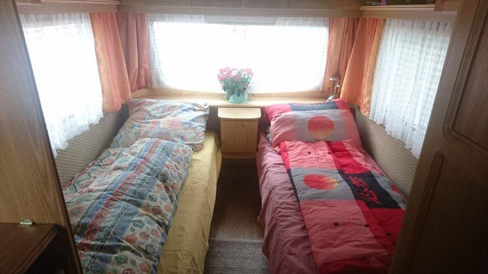 Fendt 495 A- Photo 2