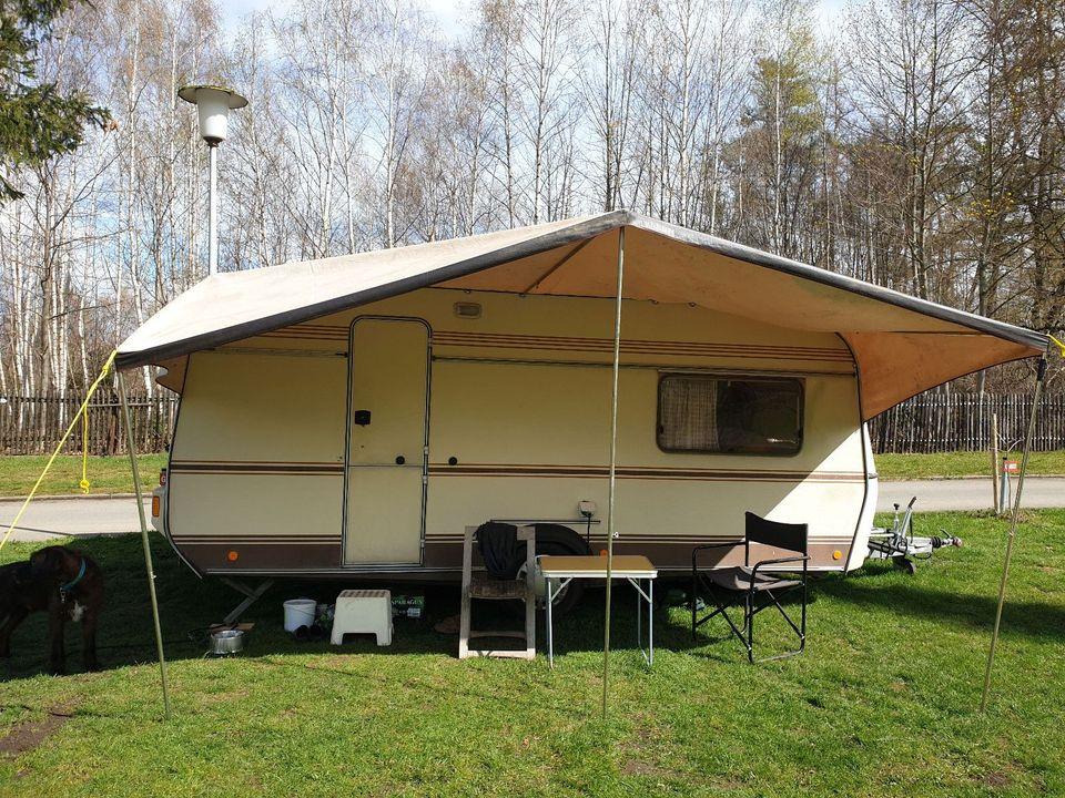 Fendt 495 A- Photo 12